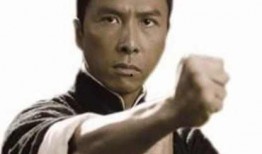 甄子丹明星在线观看,动作巨星风采再现