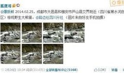 有哪些常见的新闻爆料平台,我国常见的新闻爆料平台大盘点